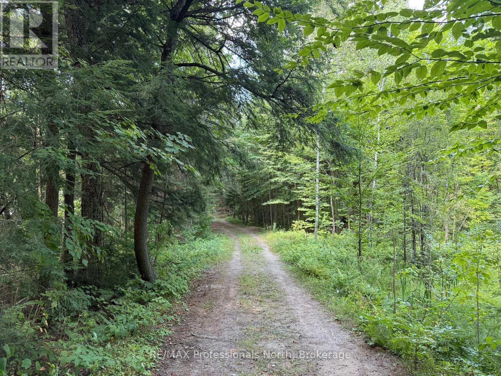 2169 Fred Jones Road, Dysart Et Al, Ontario  K0M 1S0 - Photo 3 - X12345566