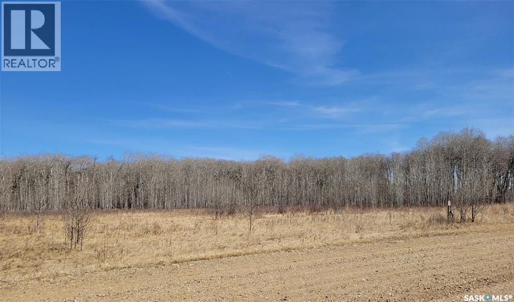 17 Lakeshore DRIVE, Saltcoats Rm No. 213, Saskatchewan