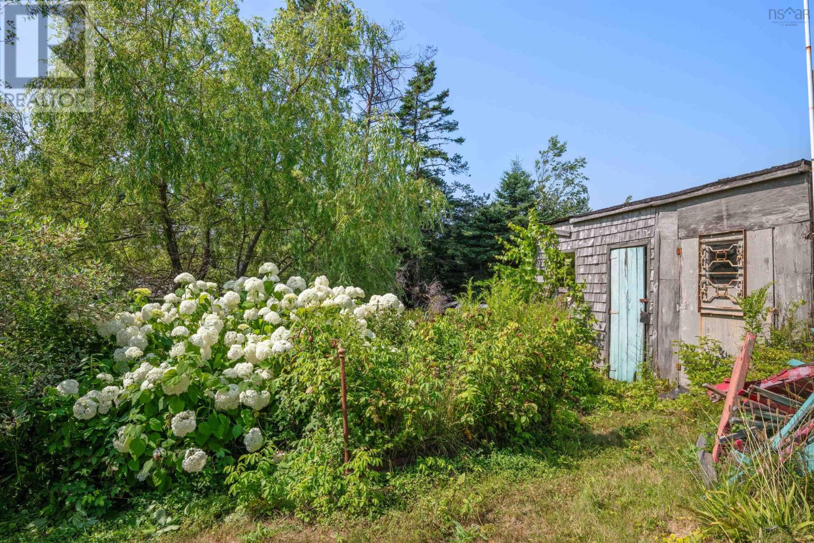 10293 Highway Highway E, Oyster Pond, Nova Scotia  B0J 1P0 - Photo 35 - 202520567