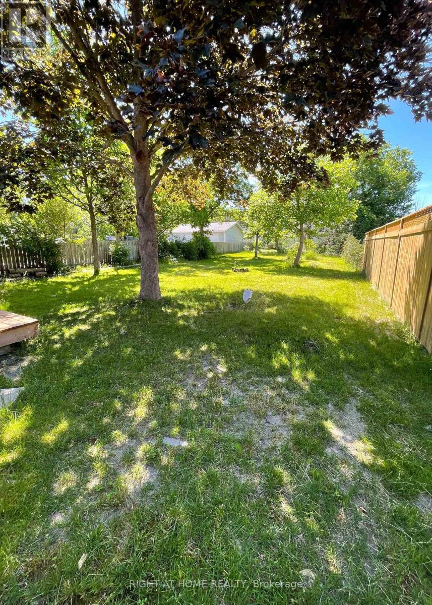 241 Elm Avenue, Georgina, Ontario  L4P 2V4 - Photo 13 - N12345799