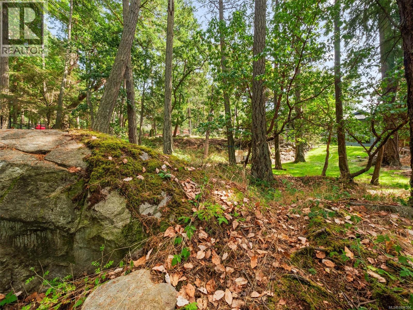 2660 Macdonald Dr E, Saanich, British Columbia  V8N 1X9 - Photo 69 - 1004504