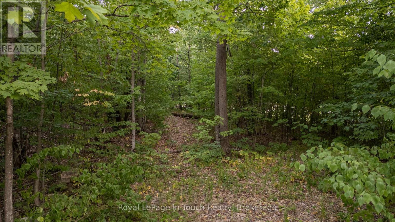 3857 Darling Island Road, Severn, Ontario  L0K 1S0 - Photo 17 - S12318796