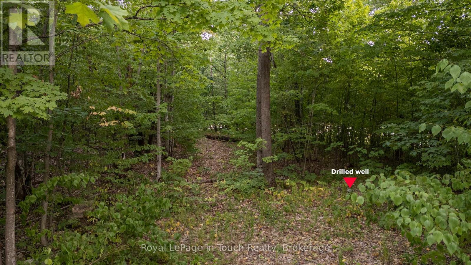 3857 Darling Island Road, Severn, Ontario  L0K 1S0 - Photo 16 - S12318796