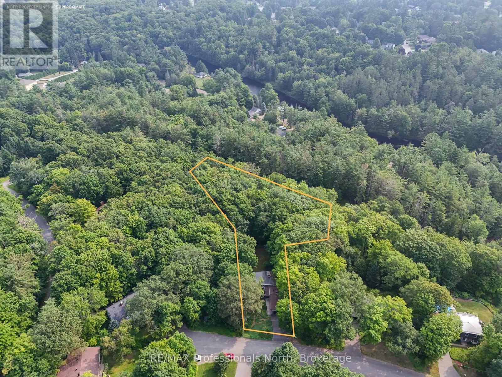 64 Woodland Drive, Bracebridge, Ontario  P1L 1M2 - Photo 7 - X12345981