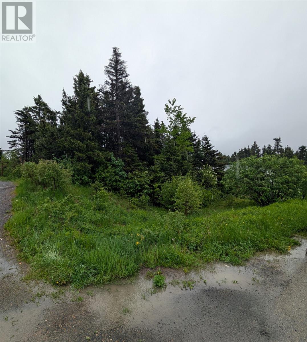 Lot 6 Freshwater Road, Summerford, Newfoundland & Labrador  A0G 4E0 - Photo 4 - 1280022