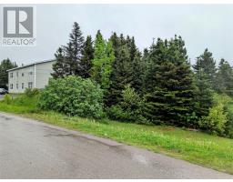LOT 6 Freshwater Road, Summerford, Newfoundland & Labrador