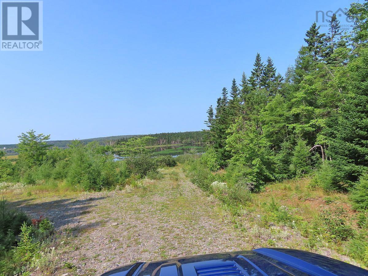 83.9 Acres Grand Mira South Road, Grand Mira South, Nova Scotia  B1K 1H2 - Photo 35 - 202420417