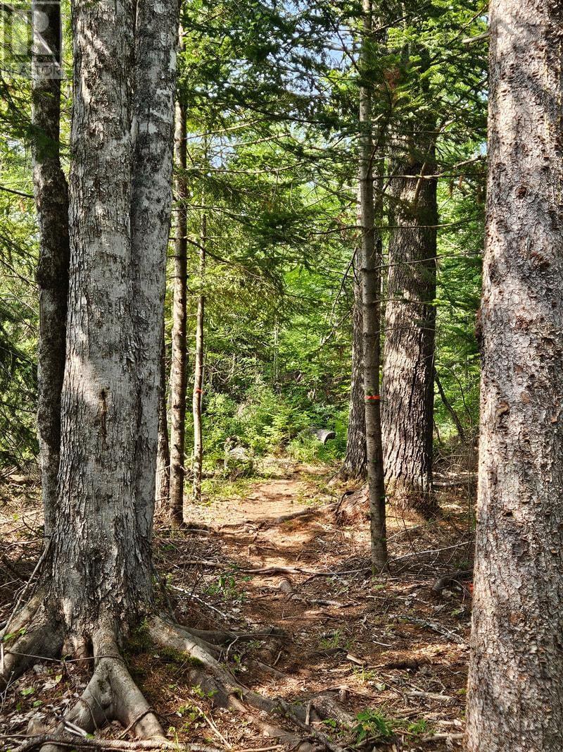 510 Sand Point Road, Barrachois, Nova Scotia  B0K 1V0 - Photo 47 - 202520579