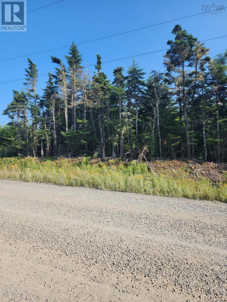 1062 Mines Road, West Petpeswick, Nova Scotia  B0J 2L0 - Photo 3 - 202520477