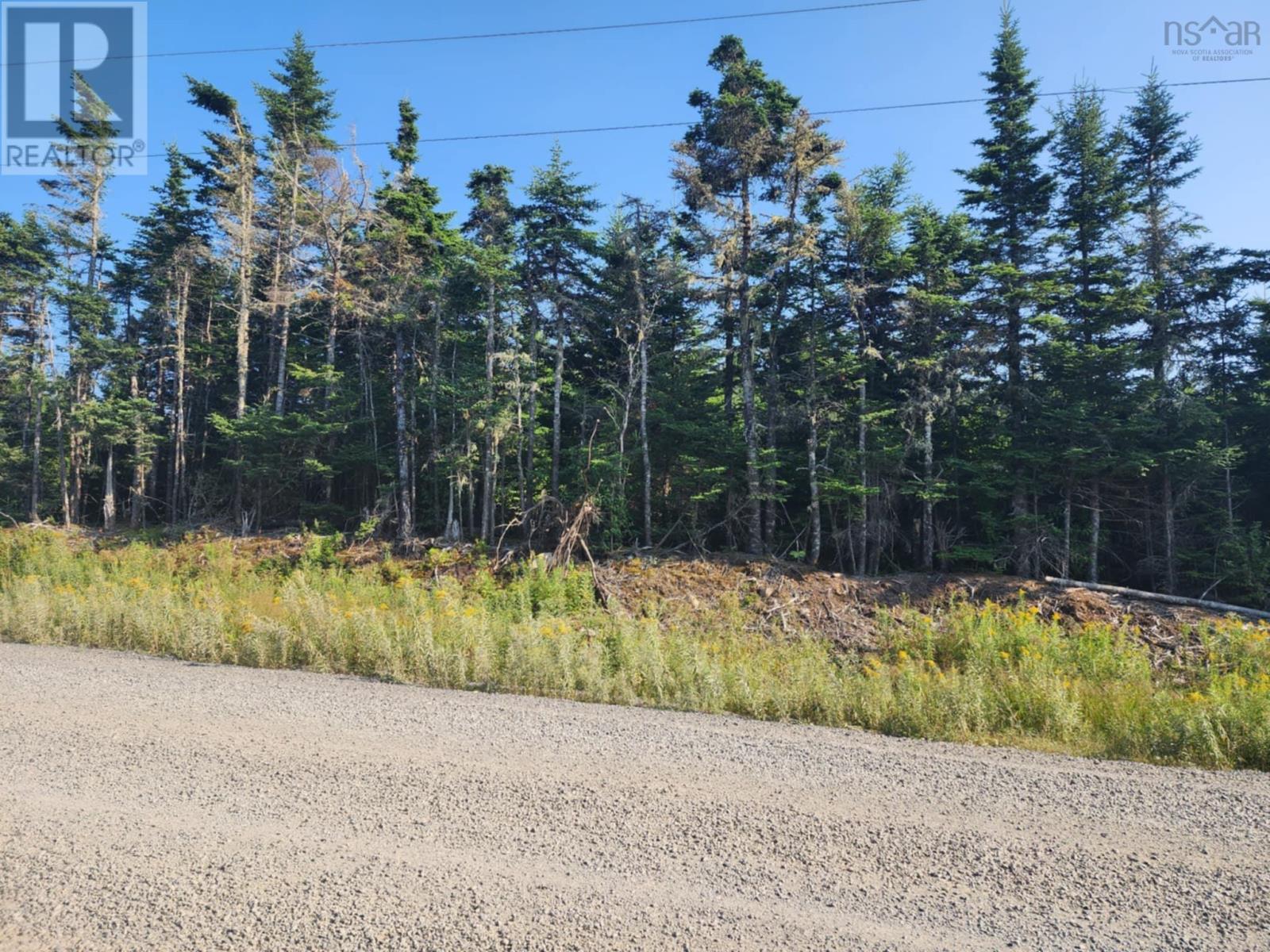 1062 Mines Road, West Petpeswick, Nova Scotia  B0J 2L0 - Photo 4 - 202520477