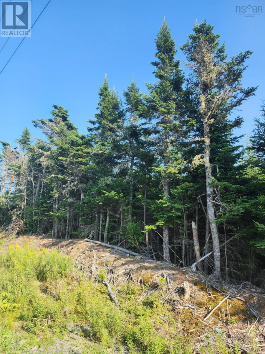 1062 Mines Road, West Petpeswick, Nova Scotia  B0J 2L0 - Photo 5 - 202520477