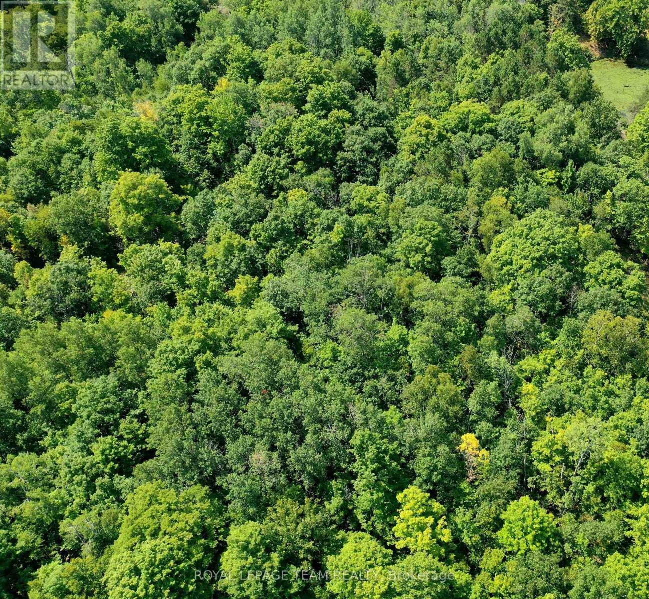 00 MAPLE LANE, Tay Valley, Ontario