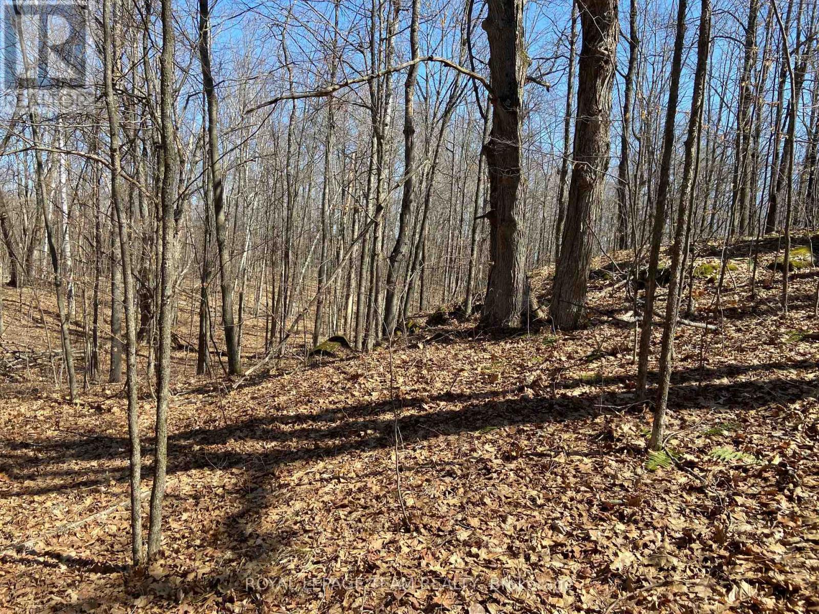 00 Maple Lane, Tay Valley, Ontario  K0H 2B0 - Photo 10 - X12346038