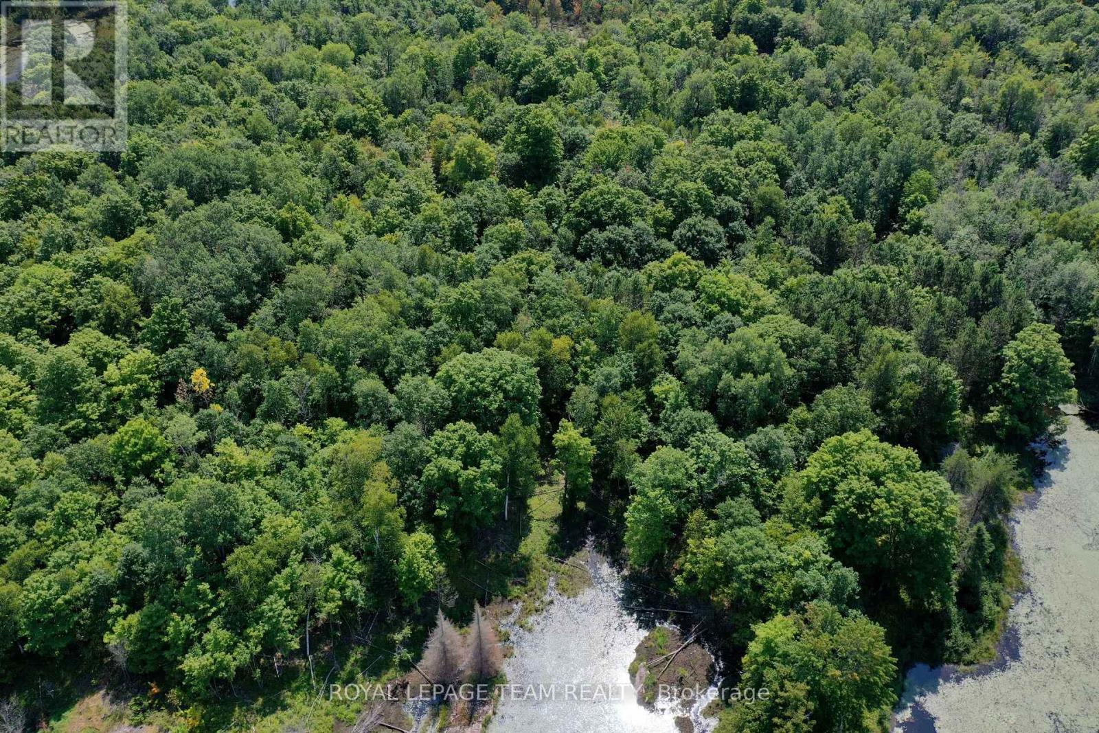 00 Maple Lane, Tay Valley, Ontario  K0H 2B0 - Photo 14 - X12346038