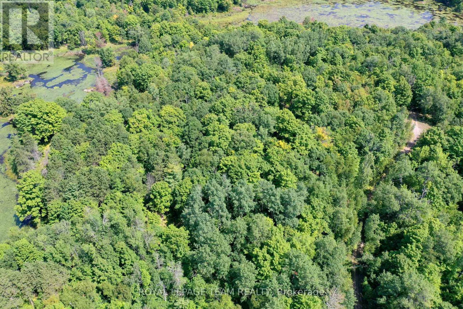 00 Maple Lane, Tay Valley, Ontario  K0H 2B0 - Photo 15 - X12346038