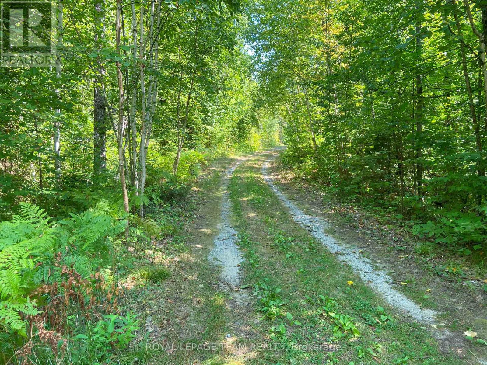 00 Maple Lane, Tay Valley, Ontario  K0H 2B0 - Photo 18 - X12346038