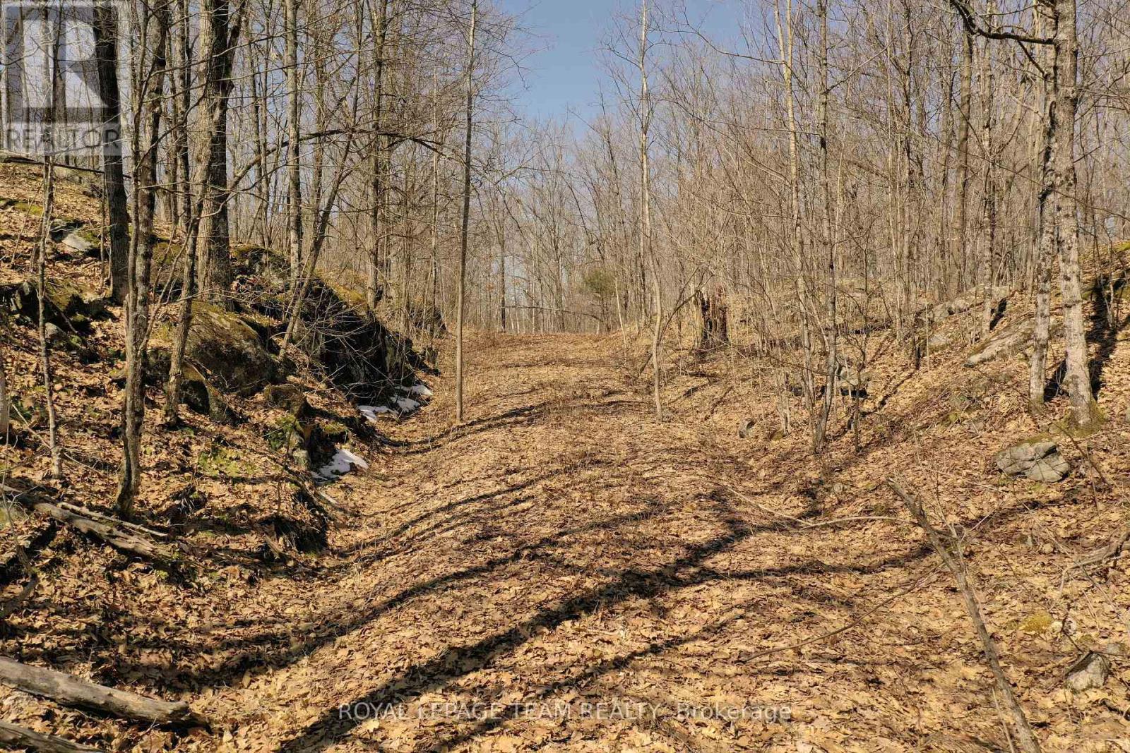 00 Maple Lane, Tay Valley, Ontario  K0H 2B0 - Photo 7 - X12346038
