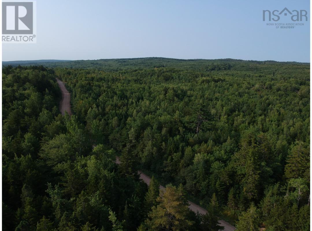 373 Armstrong Lake West Road, Vaughan, Nova Scotia  B0N 2T0 - Photo 8 - 202520140