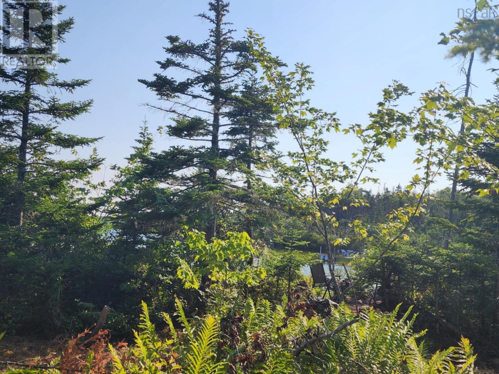 1056 Mines Road, West Petpeswick, Nova Scotia  B0J 2L0 - Photo 16 - 202520475