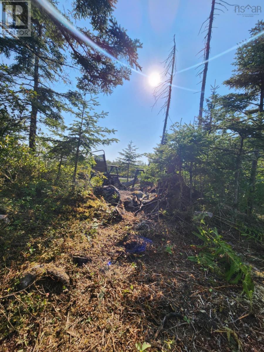 1056 Mines Road, West Petpeswick, Nova Scotia  B0J 2L0 - Photo 22 - 202520475