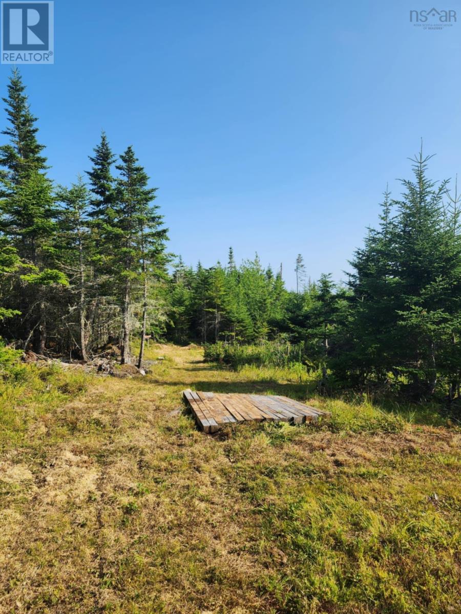 1056 Mines Road, West Petpeswick, Nova Scotia  B0J 2L0 - Photo 17 - 202520475