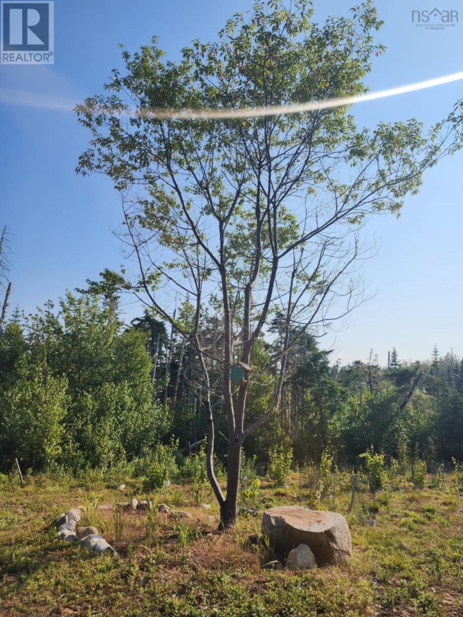 1056 Mines Road, West Petpeswick, Nova Scotia  B0J 2L0 - Photo 20 - 202520475