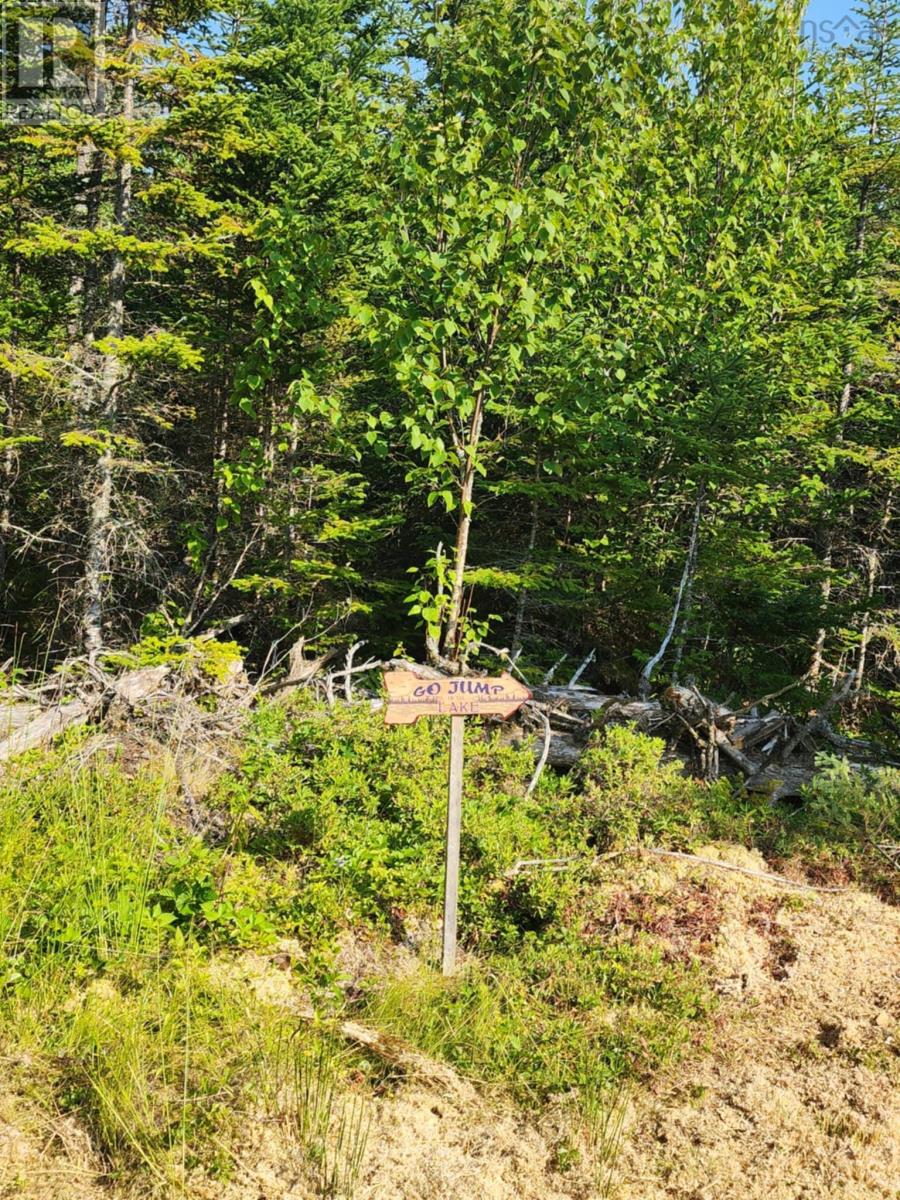 1056 Mines Road, West Petpeswick, Nova Scotia  B0J 2L0 - Photo 21 - 202520475
