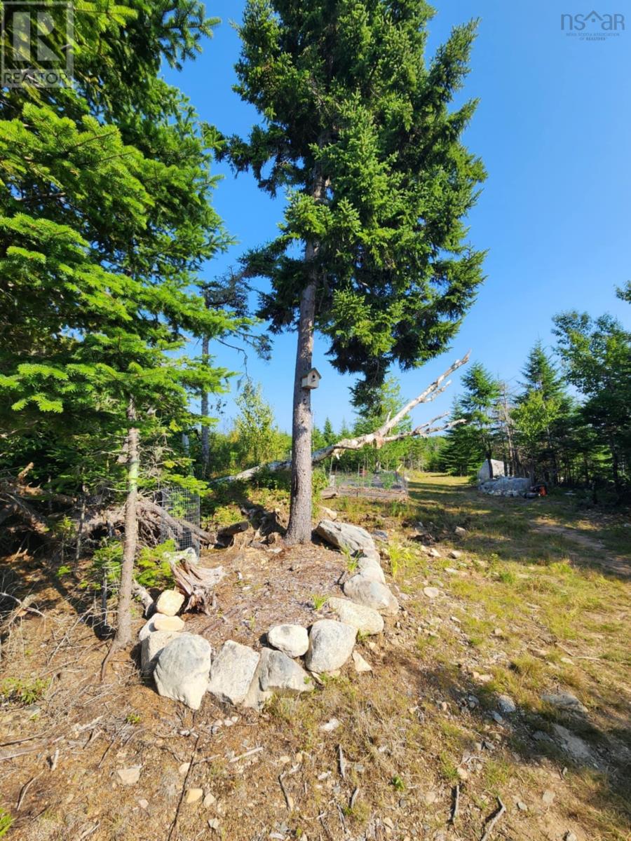 1056 Mines Road, West Petpeswick, Nova Scotia  B0J 2L0 - Photo 11 - 202520475