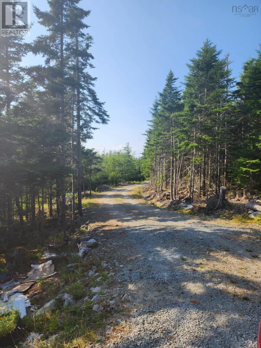 1056 Mines Road, West Petpeswick, Nova Scotia  B0J 2L0 - Photo 4 - 202520475