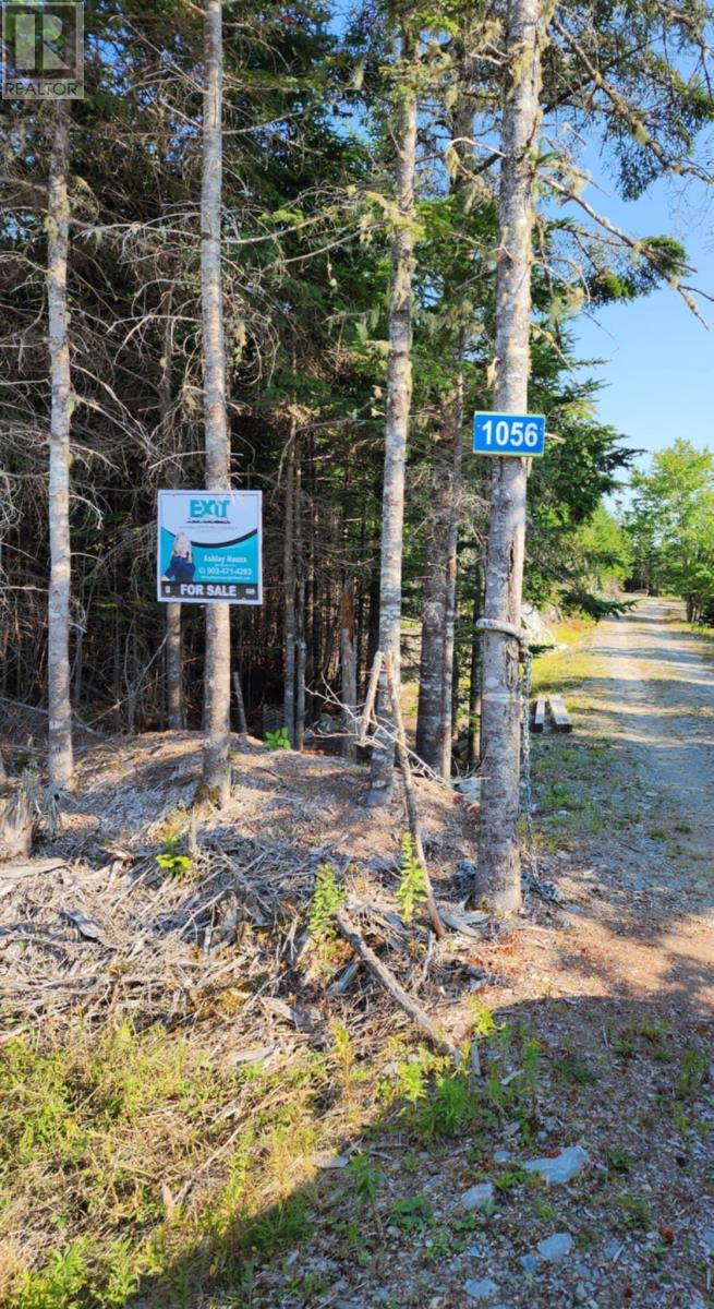1056 Mines Road, West Petpeswick, Nova Scotia  B0J 2L0 - Photo 5 - 202520475