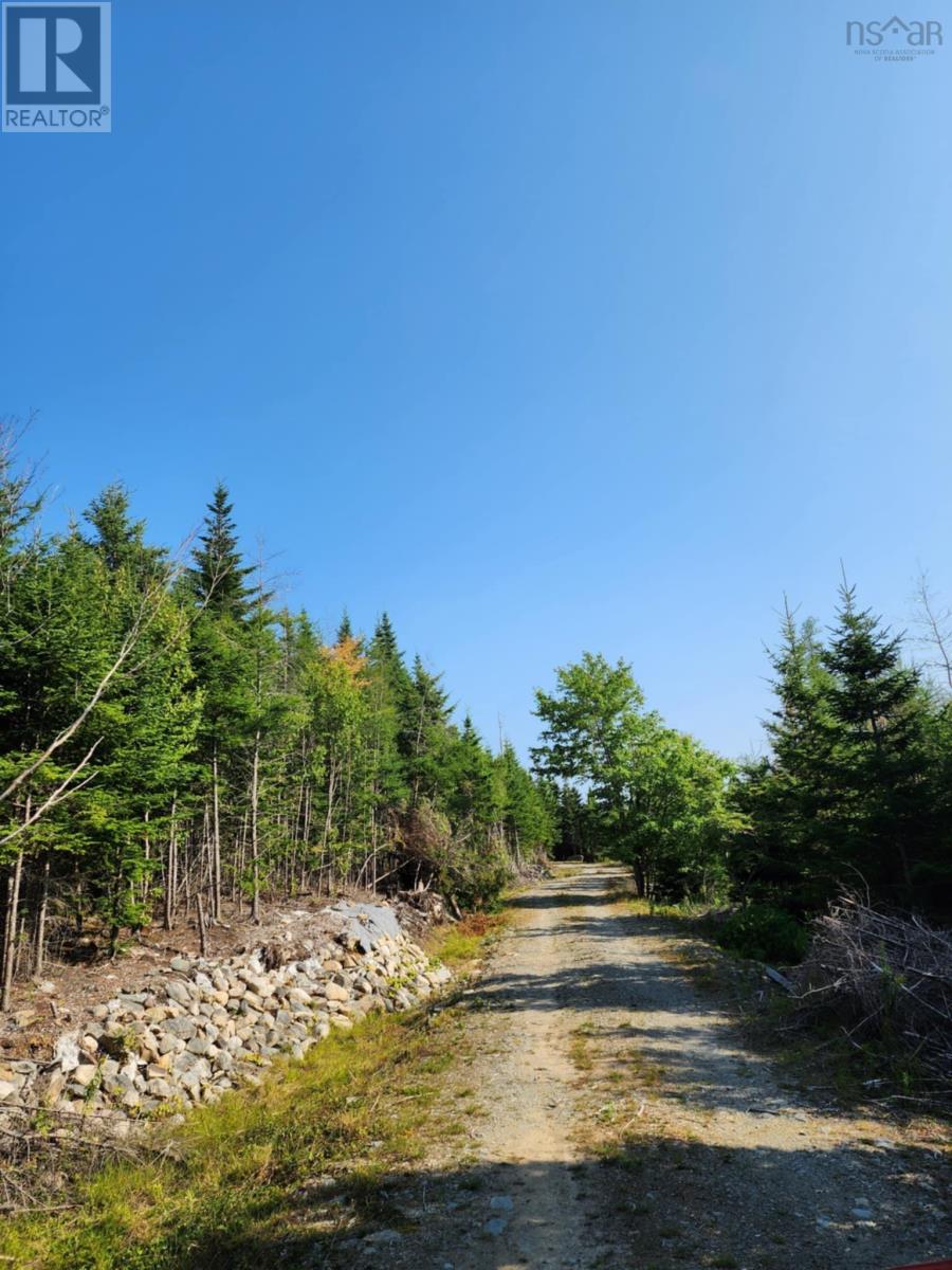 1056 Mines Road, West Petpeswick, Nova Scotia  B0J 2L0 - Photo 7 - 202520475