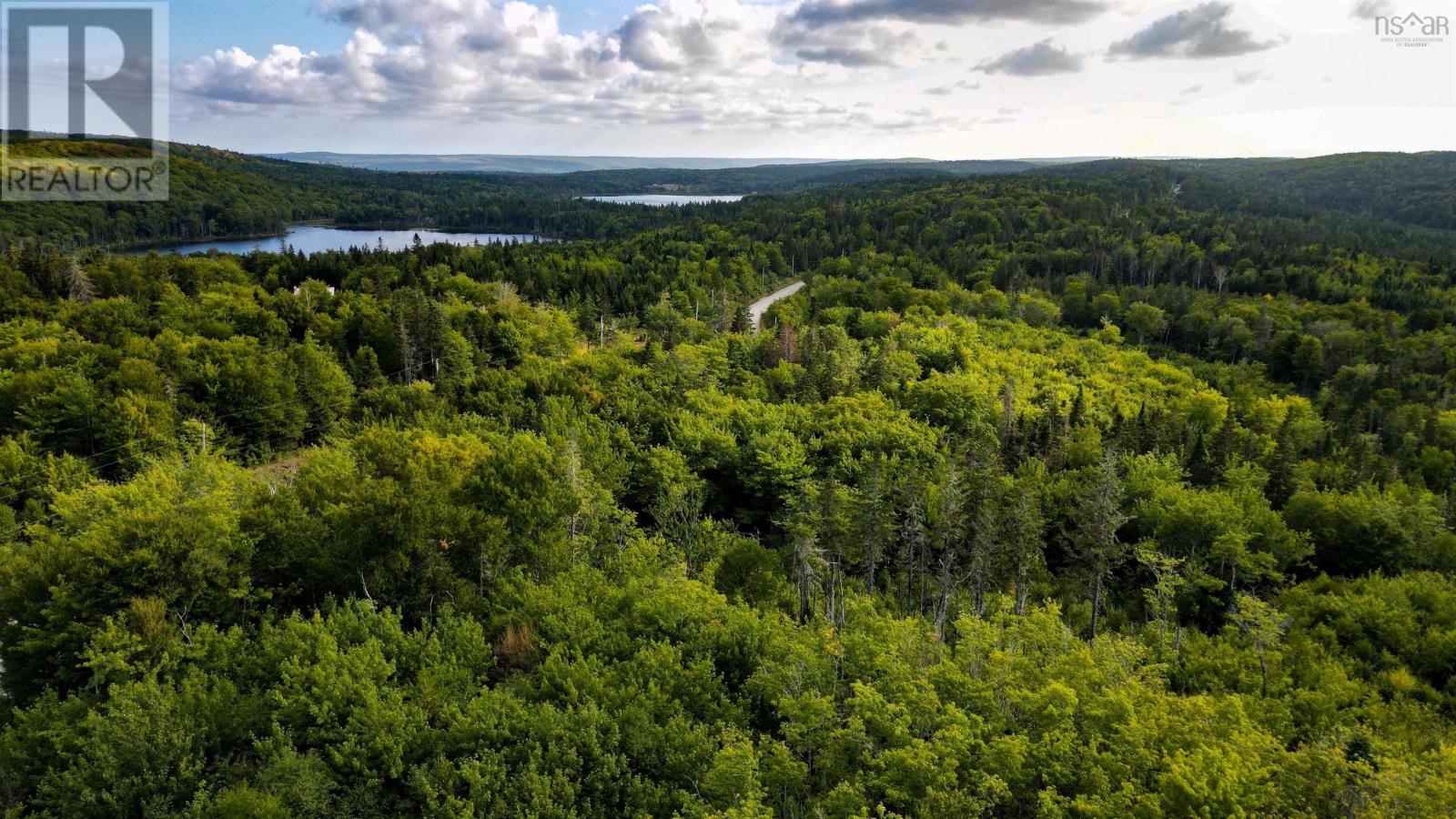 0 Beechmont Road, Gillis Lake, Nova Scotia  B2A 4J6 - Photo 7 - 202520575