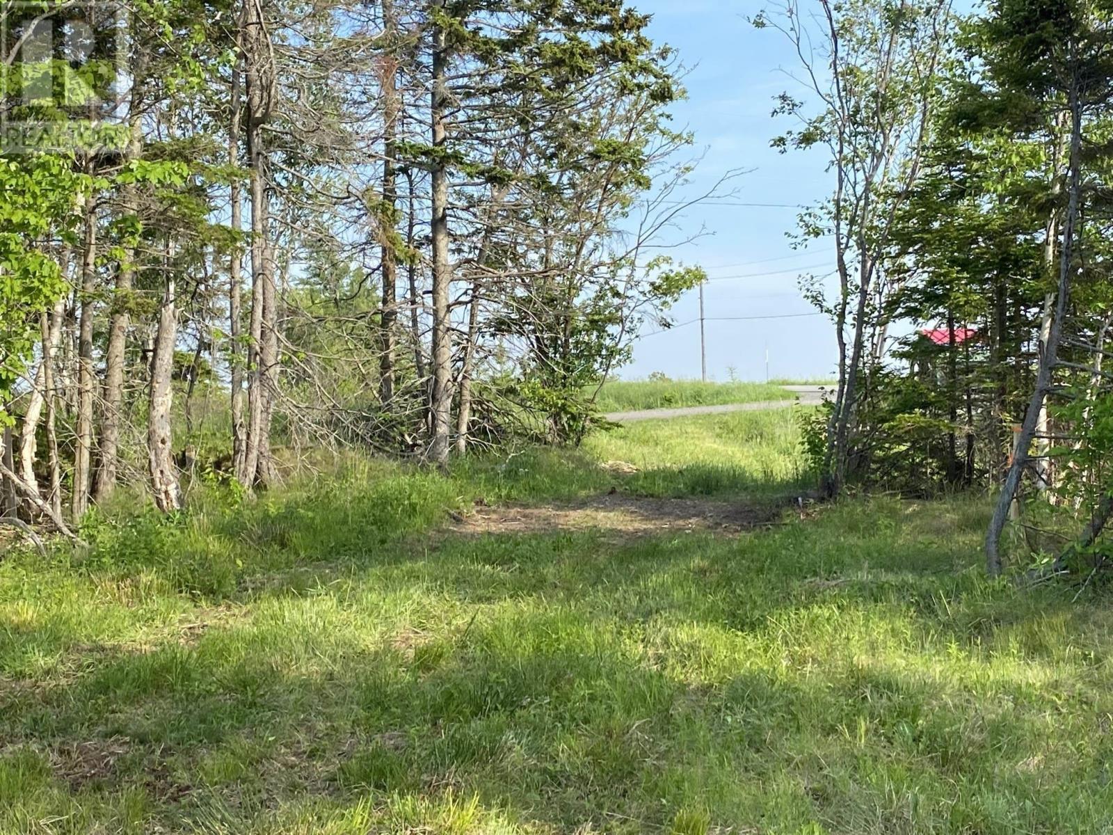 Little Mabou Road, West Mabou, Nova Scotia  B0E 1X0 - Photo 19 - 202520684