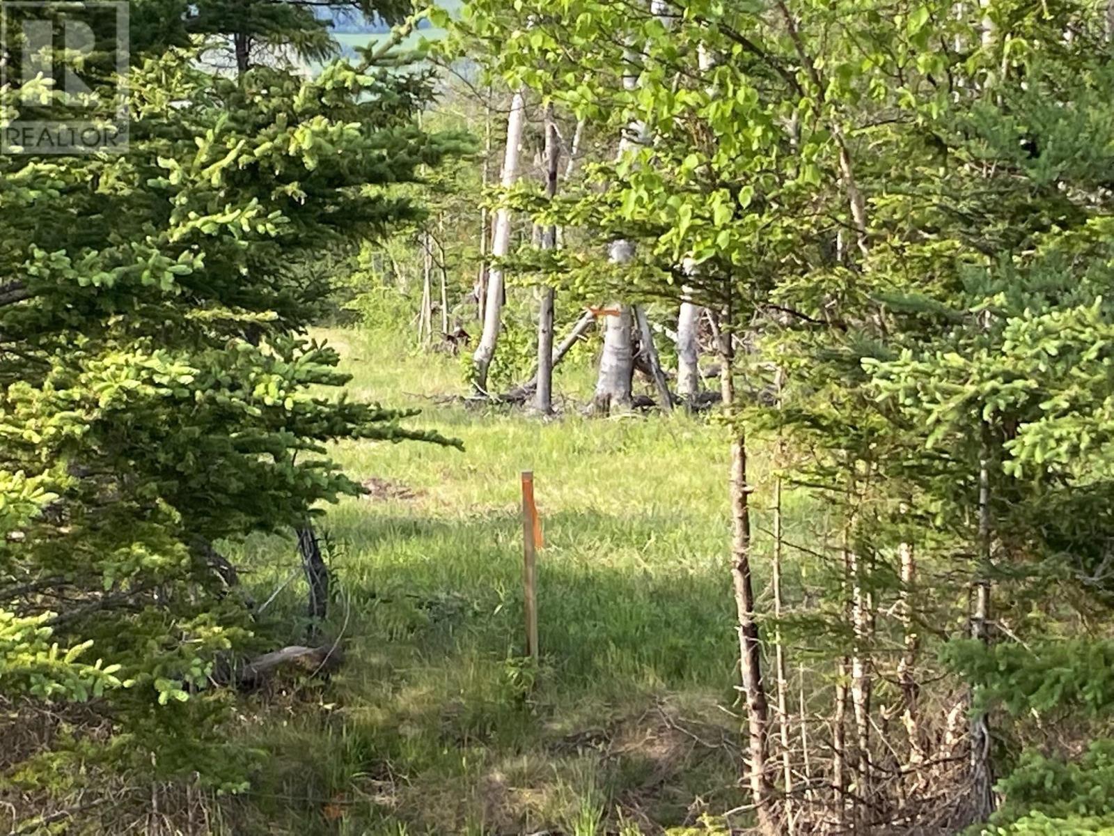 Little Mabou Road, West Mabou, Nova Scotia  B0E 1X0 - Photo 20 - 202520684