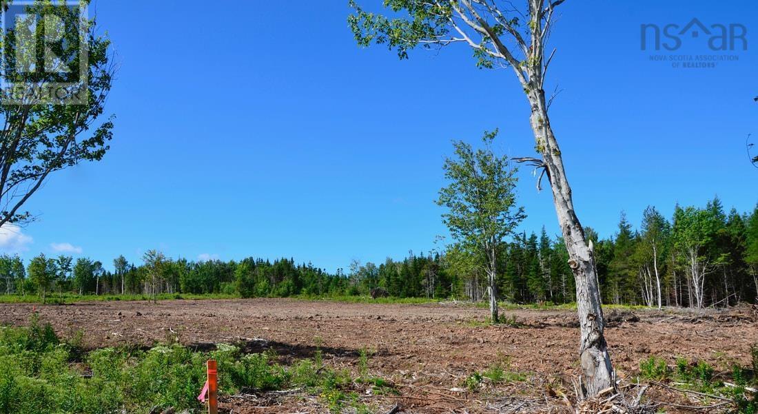 Little Mabou Road, West Mabou, Nova Scotia  B0E 1X0 - Photo 24 - 202520684
