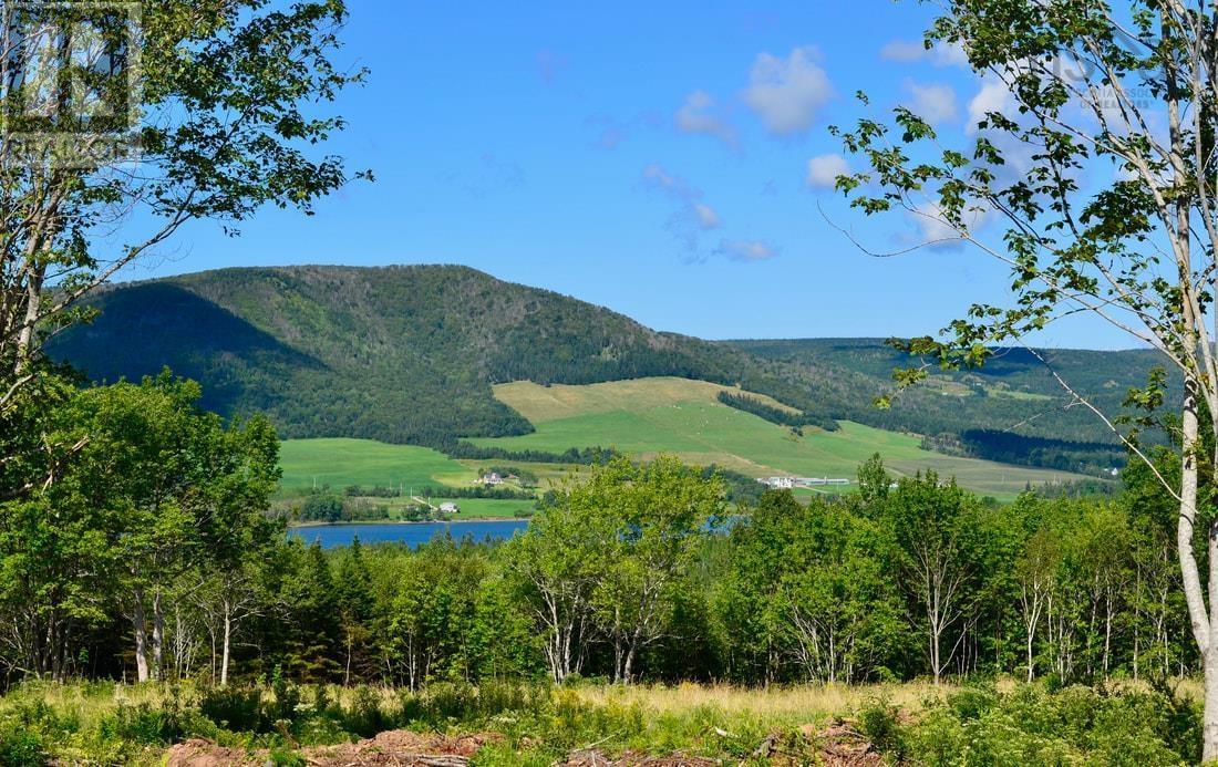 Little Mabou Road, West Mabou, Nova Scotia  B0E 1X0 - Photo 9 - 202520684