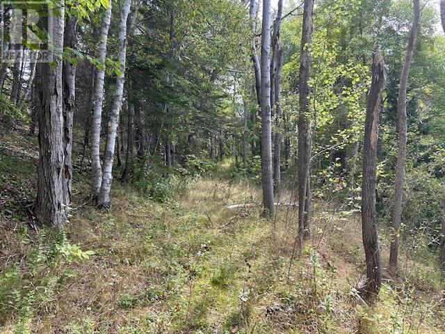 7319 223 Highway, Big Beach, Nova Scotia  B1T 1M2 - Photo 2 - 202510588