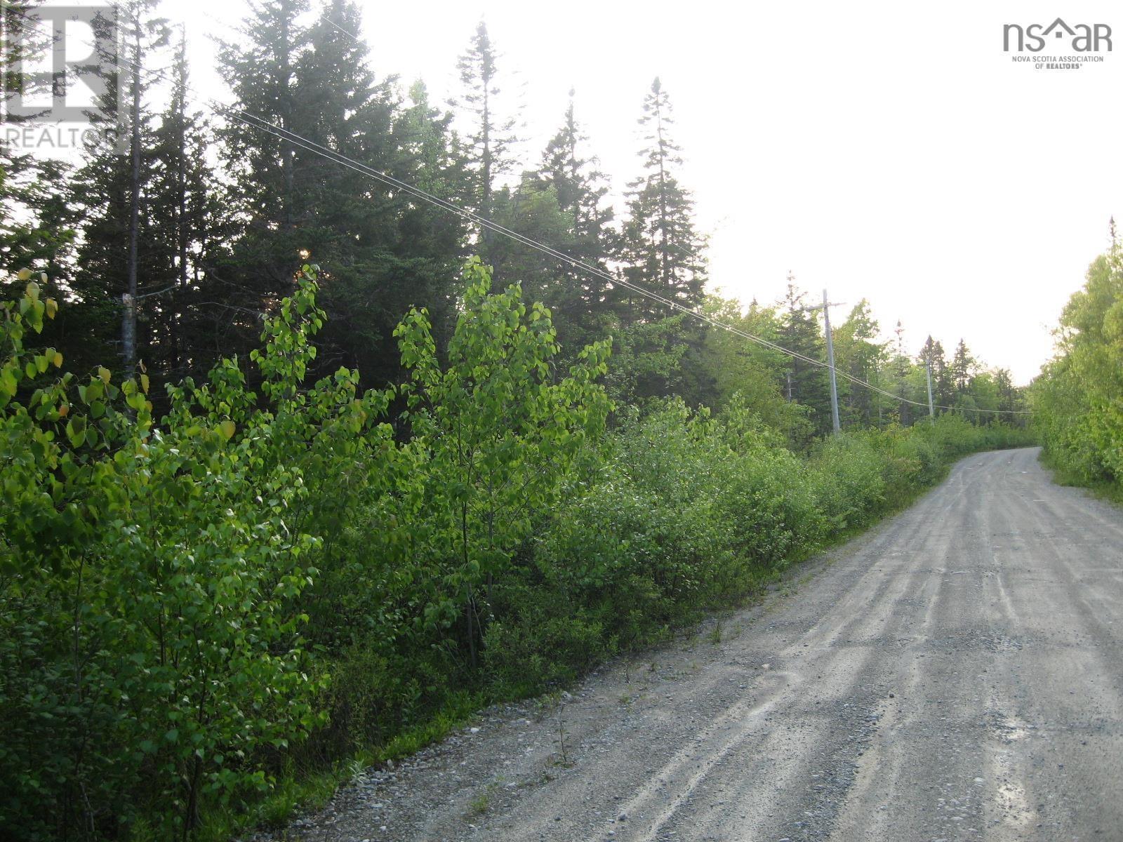 Lot County Line Station Road, East Port Medway, Nova Scotia  B0J 2H0 - Photo 10 - 202510602