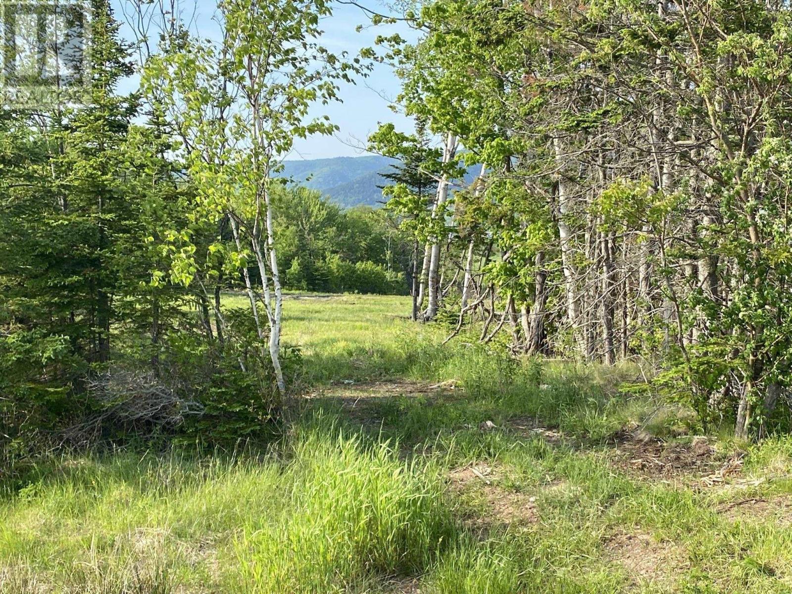 Little Mabou Road, West Mabou, Nova Scotia  B0E 1X0 - Photo 17 - 202520684