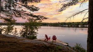 211 Pickerel Point Road, Georgian Bay, Ontario  L0K 1S0 - Photo 29 - X12346131
