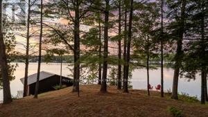 211 Pickerel Point Road, Georgian Bay, Ontario  L0K 1S0 - Photo 42 - X12346131