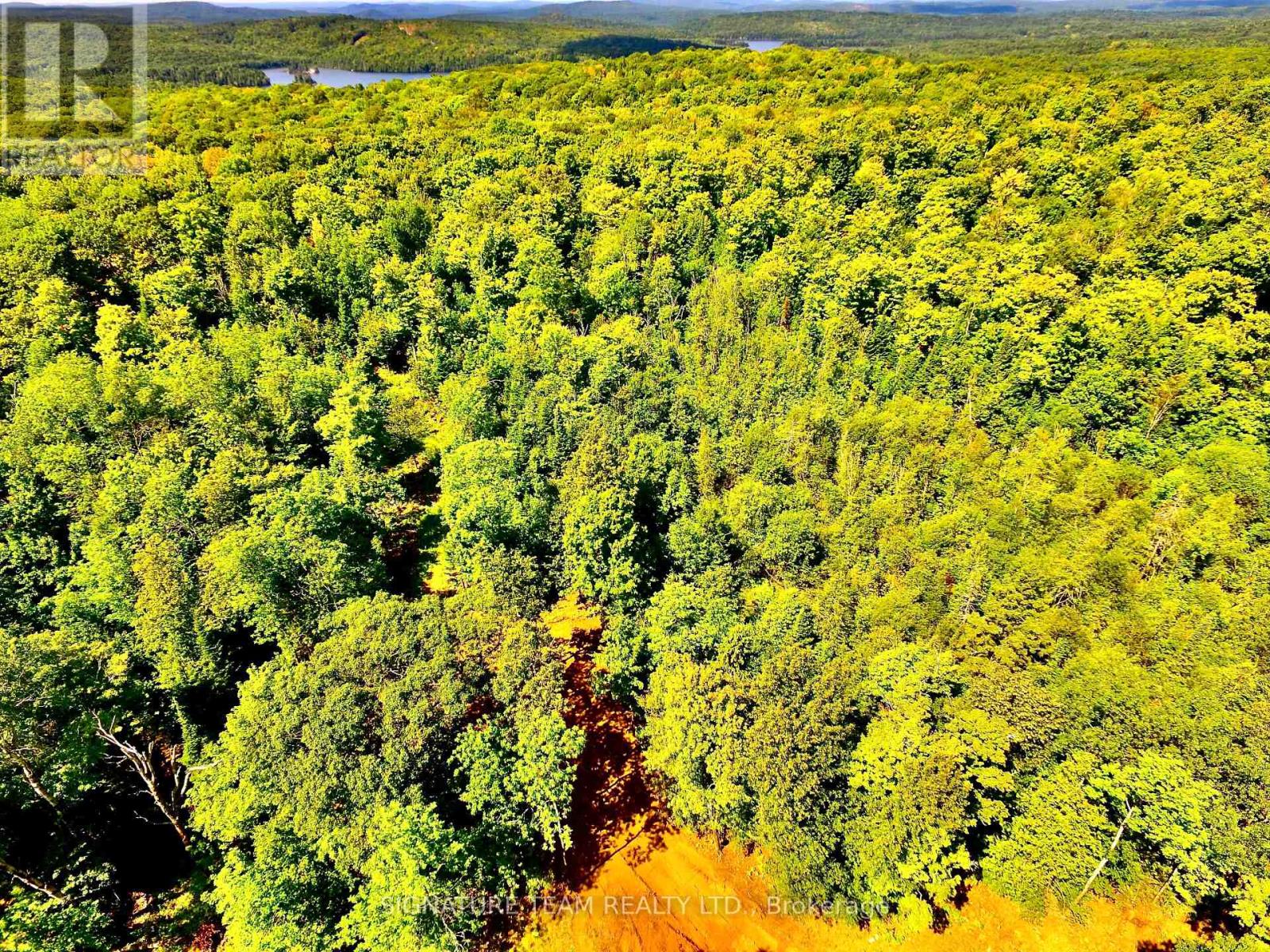 0 Nordic Lane, Brudenell, Ontario  K0J 2A0 - Photo 11 - X12346236