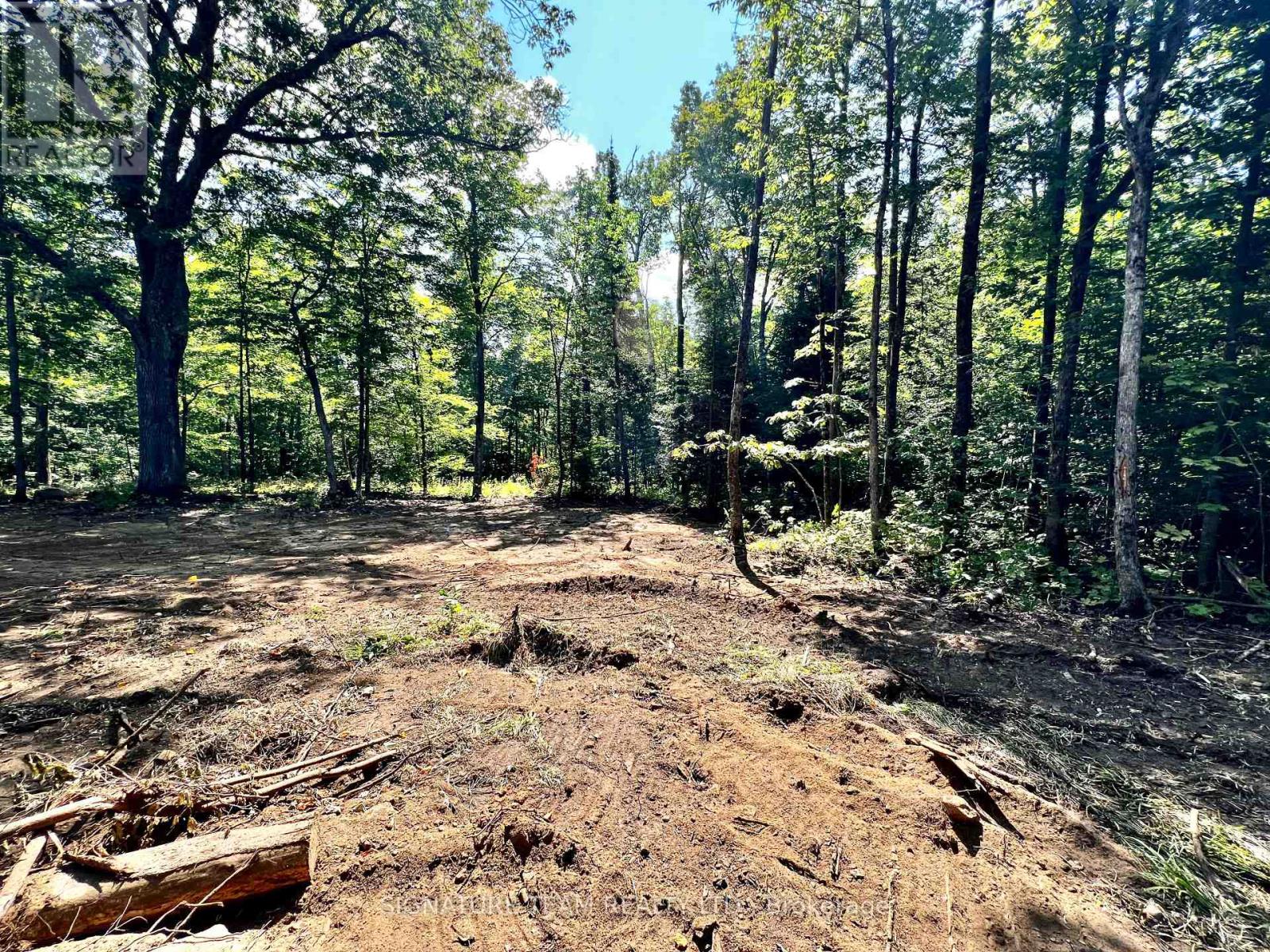 0 Nordic Lane, Brudenell, Ontario  K0J 2A0 - Photo 20 - X12346236
