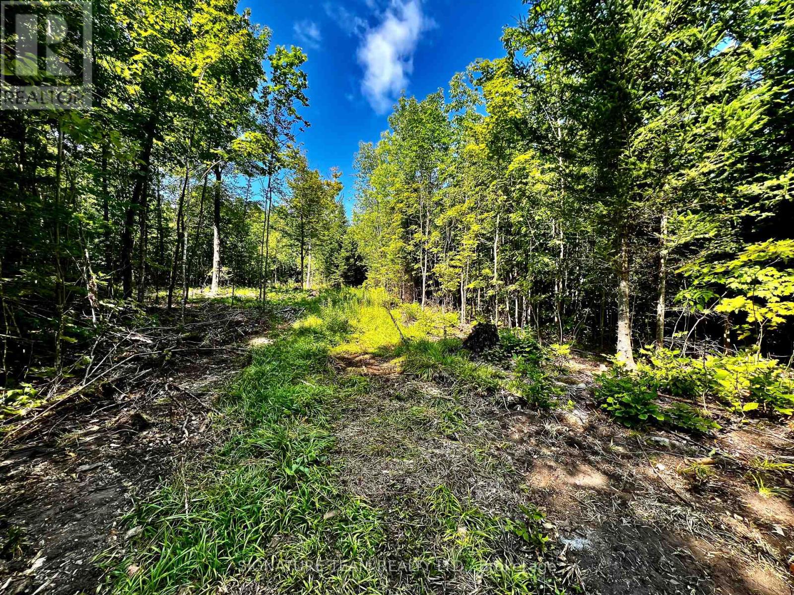 0 Nordic Lane, Brudenell, Ontario  K0J 2A0 - Photo 21 - X12346236