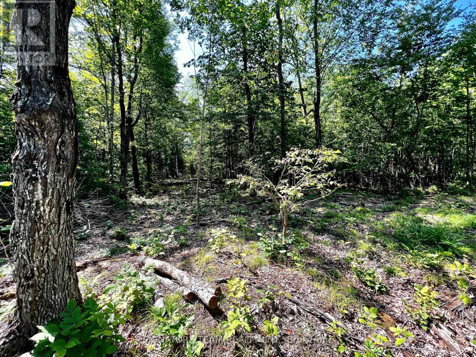0 Nordic Lane, Brudenell, Ontario  K0J 2A0 - Photo 22 - X12346236