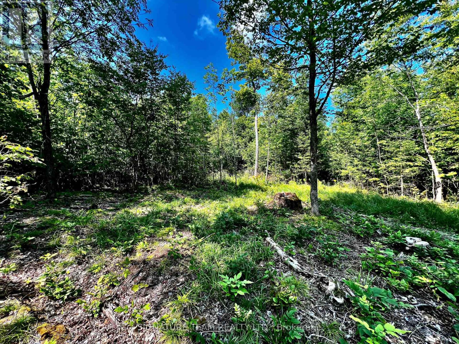 0 Nordic Lane, Brudenell, Ontario  K0J 2A0 - Photo 23 - X12346236