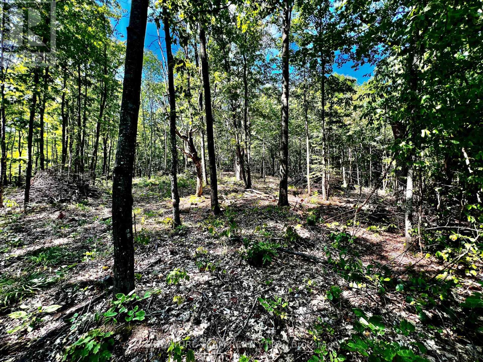 0 Nordic Lane, Brudenell, Ontario  K0J 2A0 - Photo 24 - X12346236