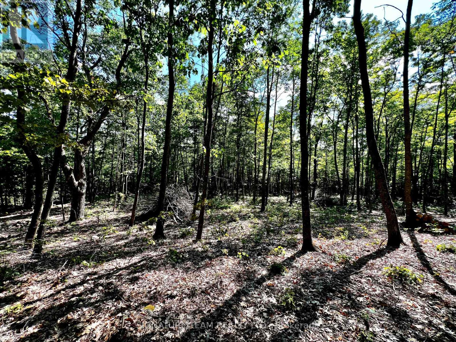 0 Nordic Lane, Brudenell, Ontario  K0J 2A0 - Photo 25 - X12346236
