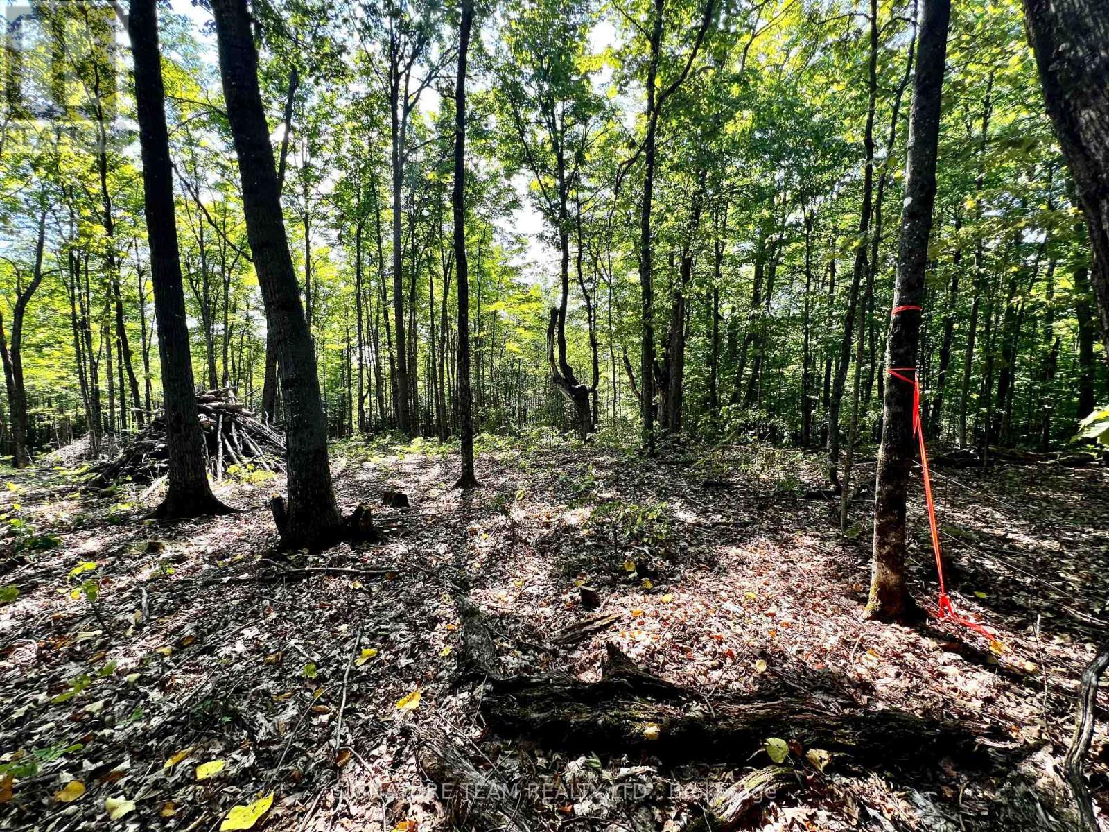 0 Nordic Lane, Brudenell, Ontario  K0J 2A0 - Photo 26 - X12346236