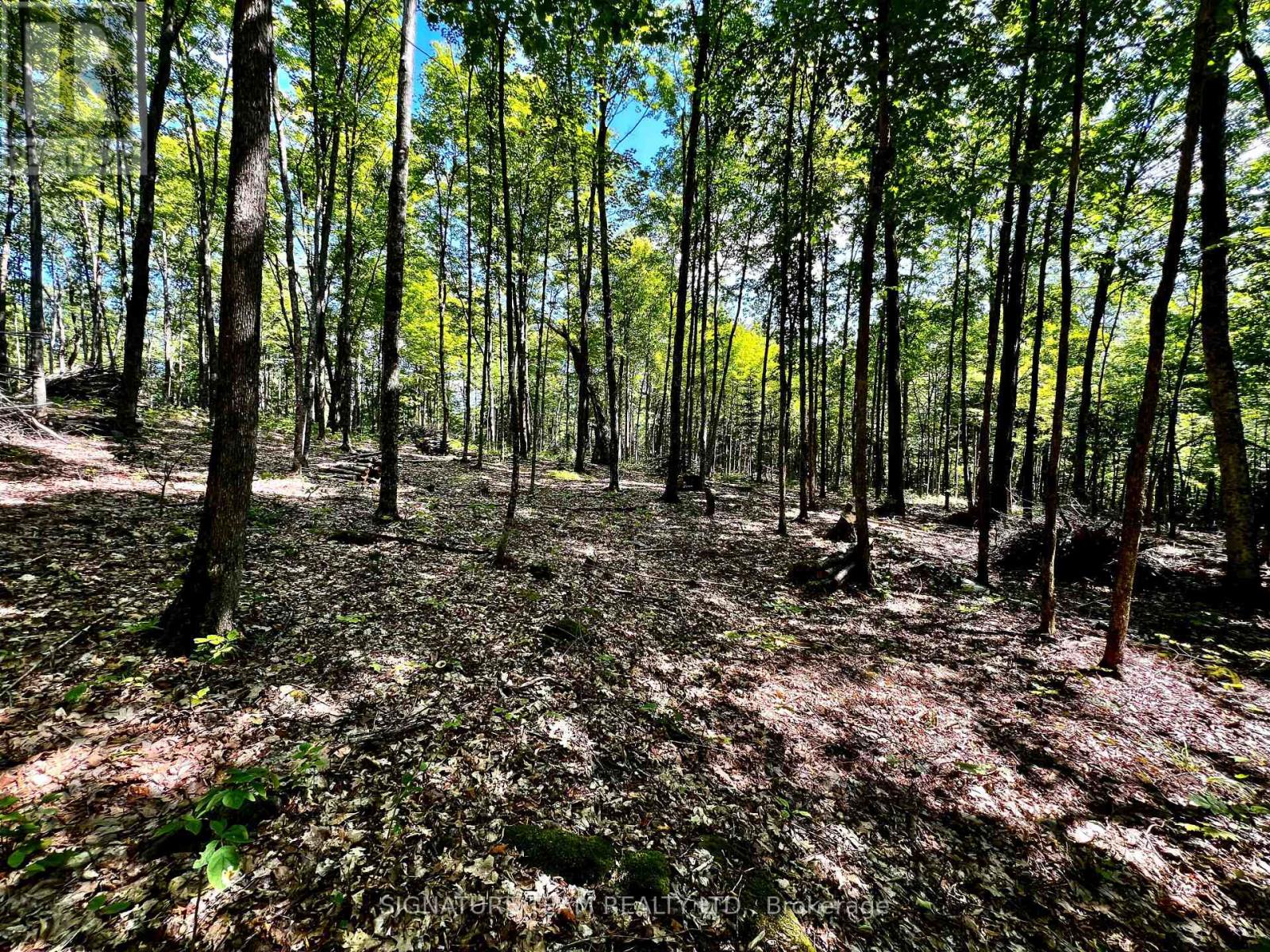 0 Nordic Lane, Brudenell, Ontario  K0J 2A0 - Photo 28 - X12346236